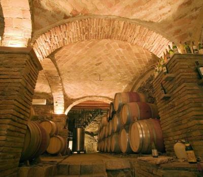 Wine Tourism Barcelona