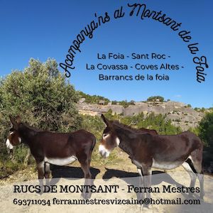 Rucs de Montsant