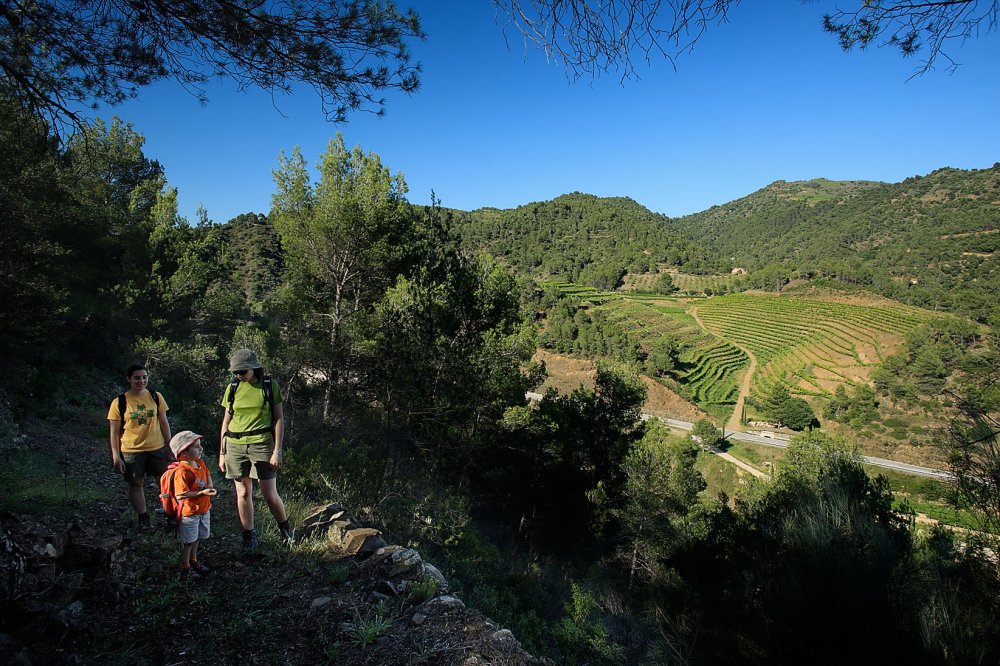 Rutas senderismo