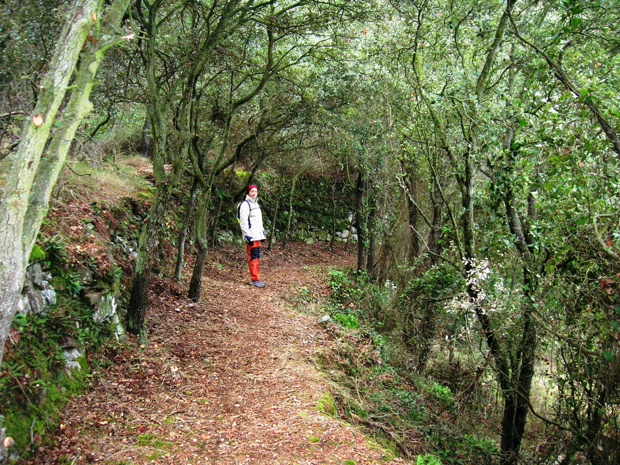 Fotografia Camí Falset-Gratallops 