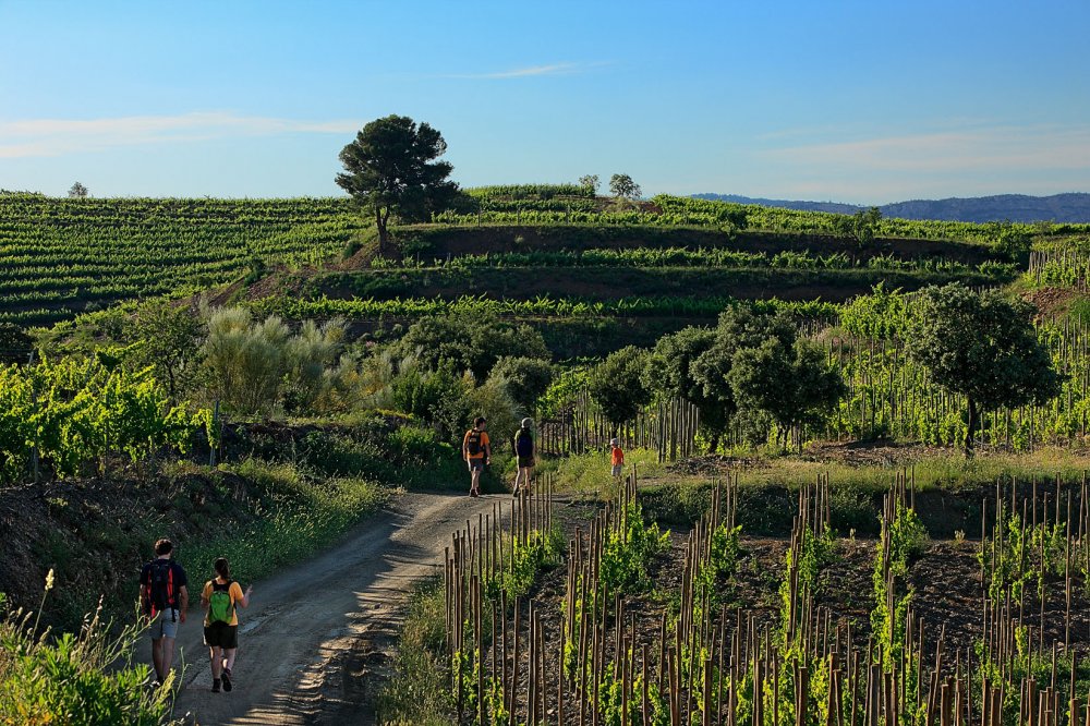 Turismo interior Tarragona