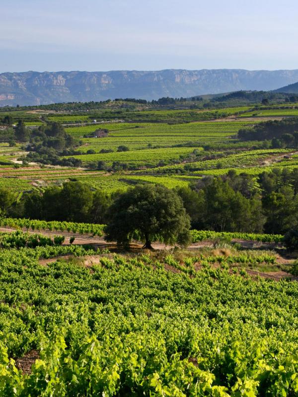 Turisme Rural Catalunya