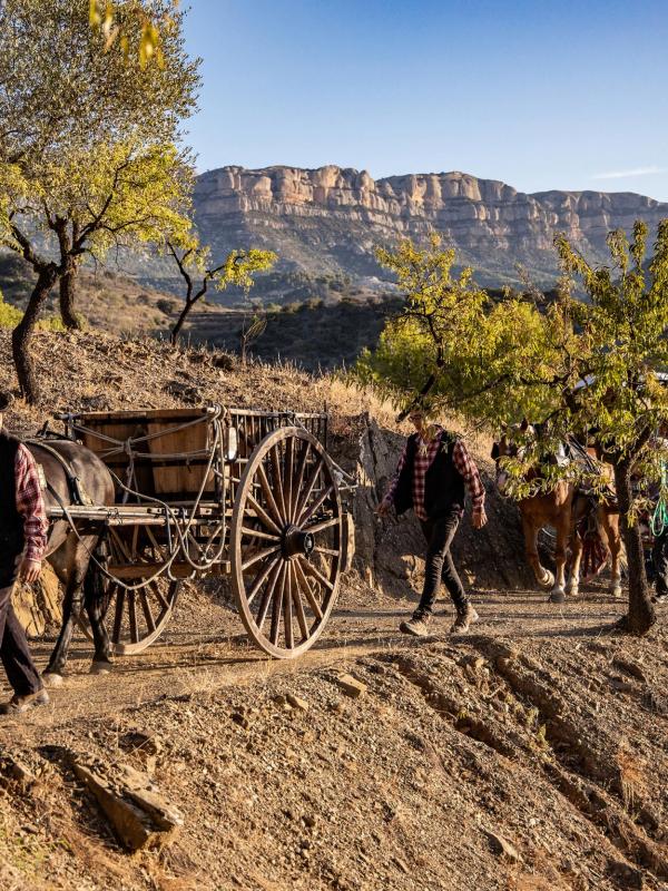 Enoturisme Priorat