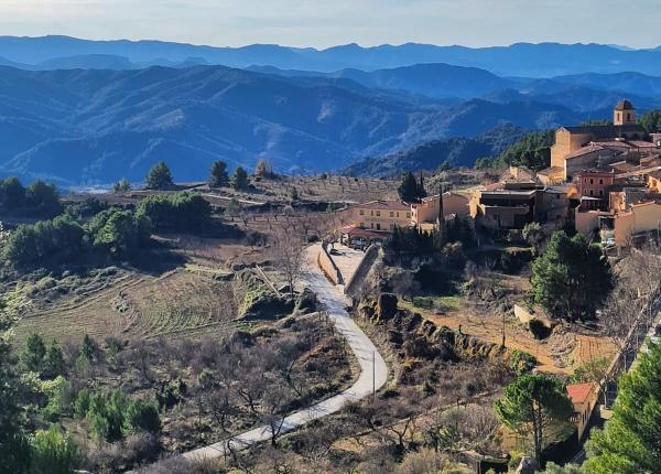 Wine Tourism near Barcelona