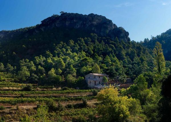 Wine tourism Spain