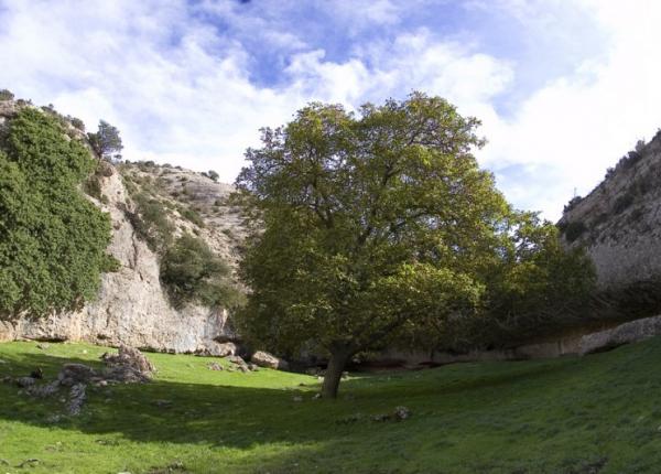 Turisme Rural Catalunya