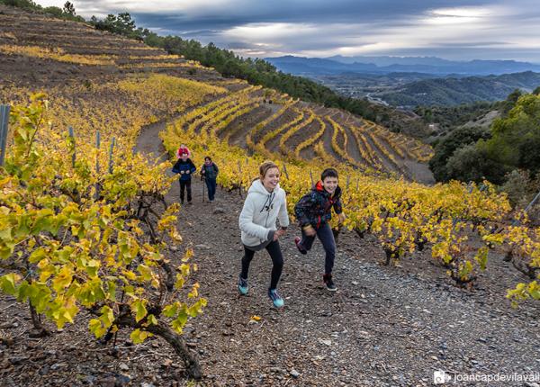 Senderisme Priorat