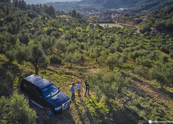 Olivolja turism Priorat