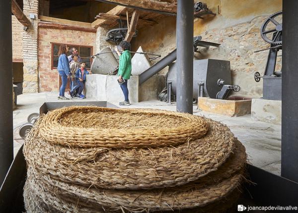 Olive oil tourism Priorat