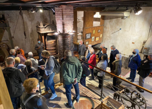 Olivolja turism Priorat