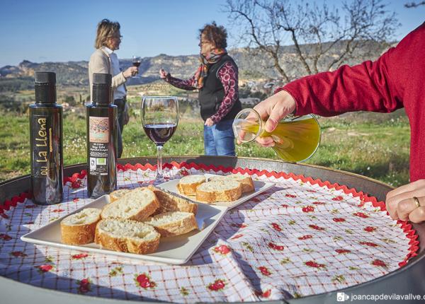 Molins visitables Catalunya