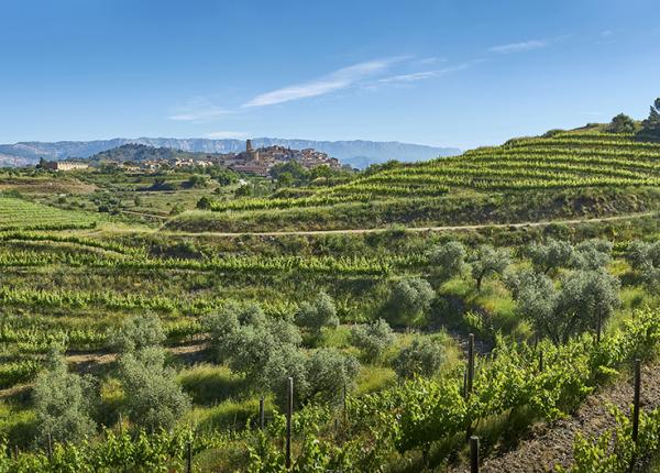 Priorat