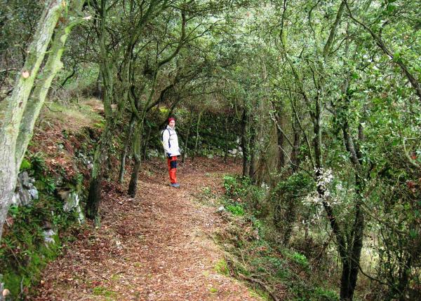 Fotografia Camí Falset-Gratallops 