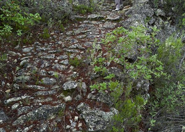 Foto antic camí de la Figuera a Cabacés