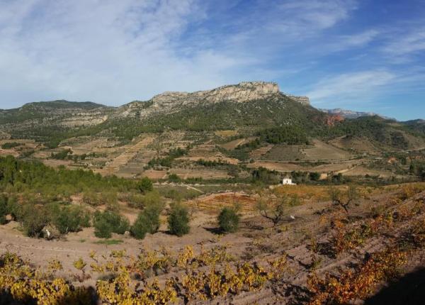 paisatge_maurici_2015.jpg