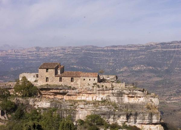 Wine Tourism near Barcelona