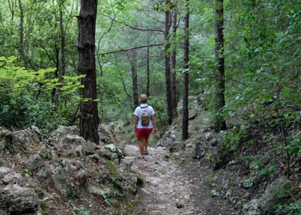 Rutas senderismo