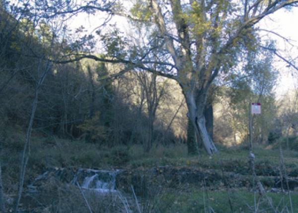 Hiking near Barcelona