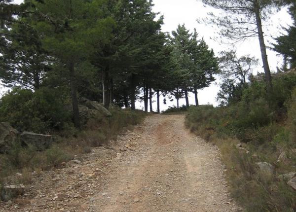 Cicloturismo Tarragona