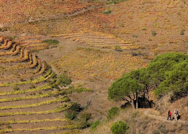 Rutas senderismo