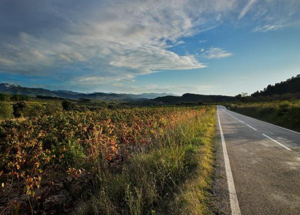 Carretera entre Guiamets y la N-420