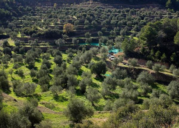 Hiking near Barcelona