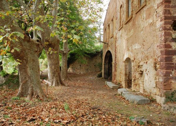 Senderisme Priorat