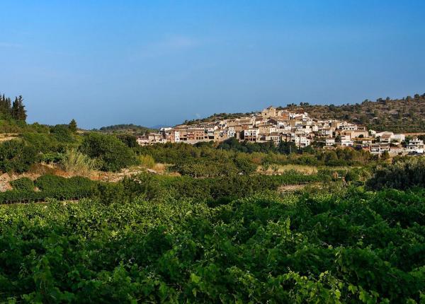 Wine Tourism near Barcelona