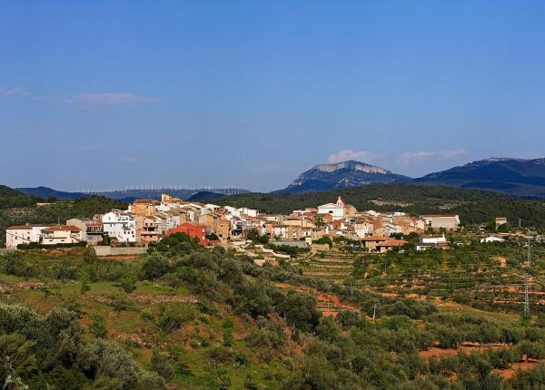 Wine Tourism near Barcelona