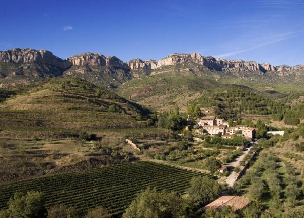 Wine Tourism near Barcelona