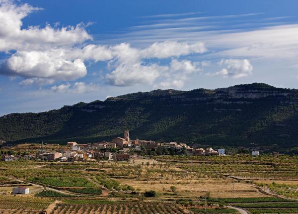 Wine Tourism near Barcelona