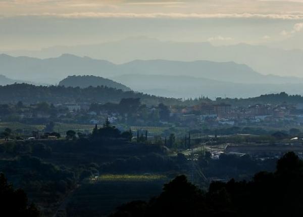 Wine Tourism near Barcelona