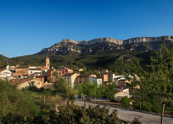 Wine Tourism near Barcelona