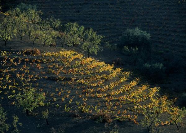 tourisme rural Barcelone