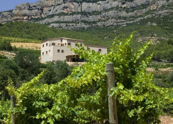 Bodegas Cataluña