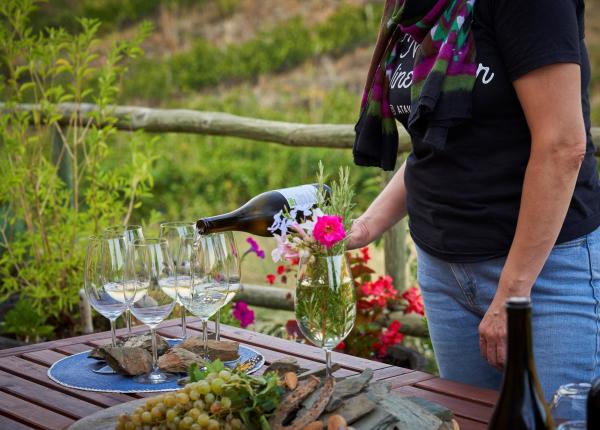 Bodegas Cataluña