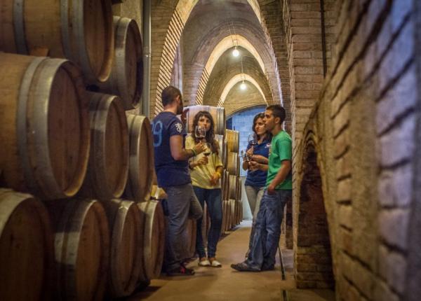 Wine Tasting and tours Spain