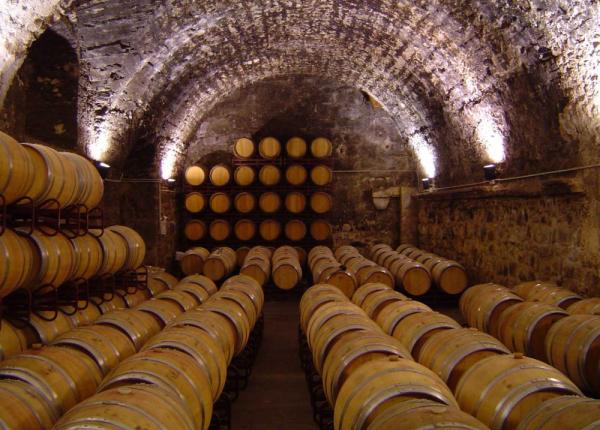 Wine Tourism near Barcelona