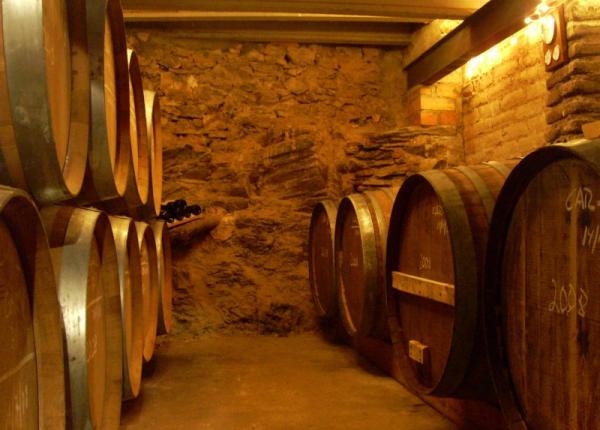 Wine Tourism near Barcelona