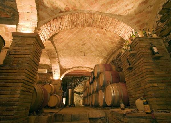 Wine Tourism Barcelona