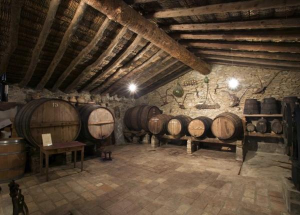 visite et degustation vin Espagne