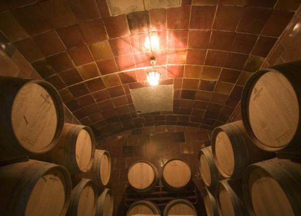 Wine testing and cellar tours Barcelona