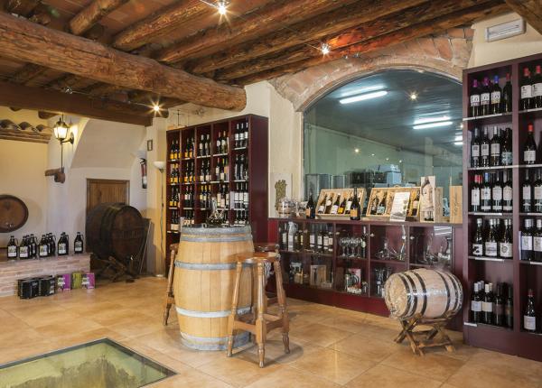 Wine tasting and tours Spain