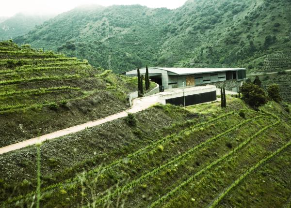 Oenotourisme Priorat