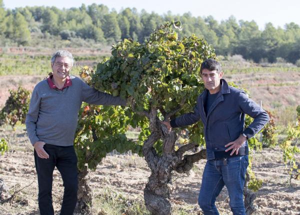 visiter vignoble Espagne