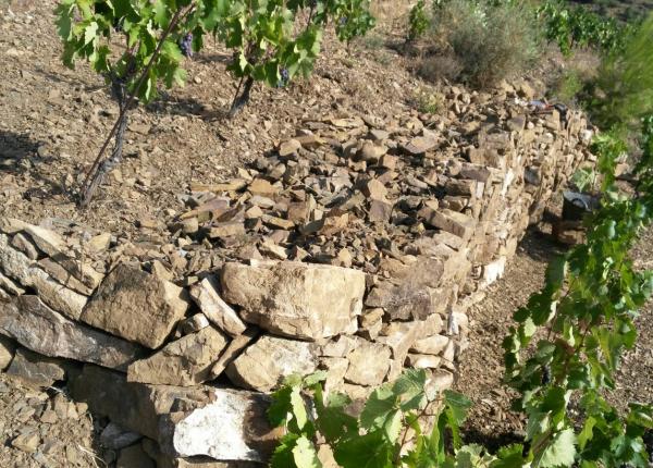 Bodegas Cataluña