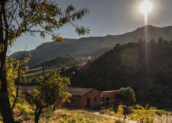 Wine Tourism near Barcelona