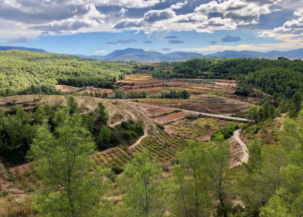 Vineyards to visit near Barcelona