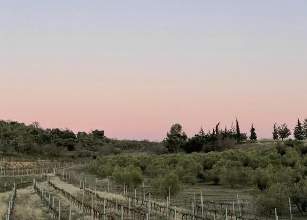 wine tourism Priorat