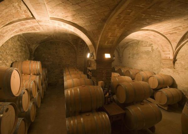 Wine Tourism near Barcelona